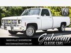 Thumbnail Photo 0 for 1979 Chevrolet C/K Truck